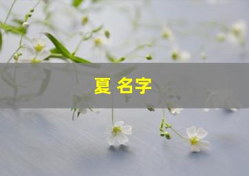 夏 名字